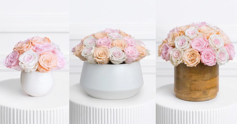 When Are Forever Roses Used