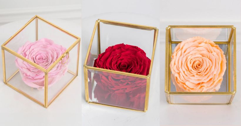 When Forever Roses Are Worth It