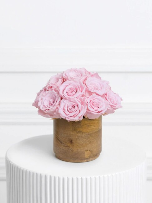 Preserved Forever Roses - Ode à la Rose