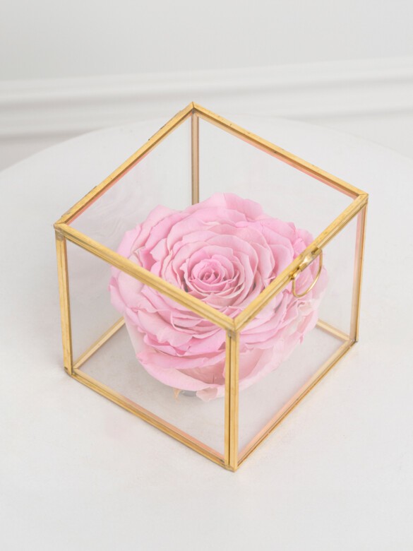 Single preserved pink rose displayed inside a square glass box with beveled edges, offering a delicate, long-lasting keepsake that feels both romantic and timeless.