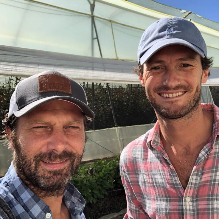 Forever roses by Ode founders