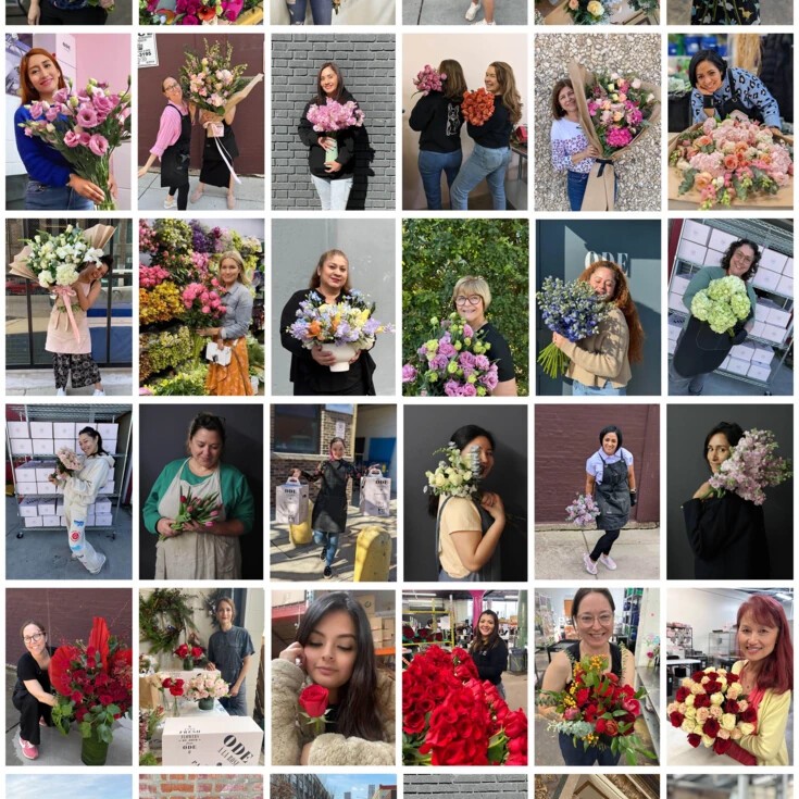 Meet the Forever Roses Team