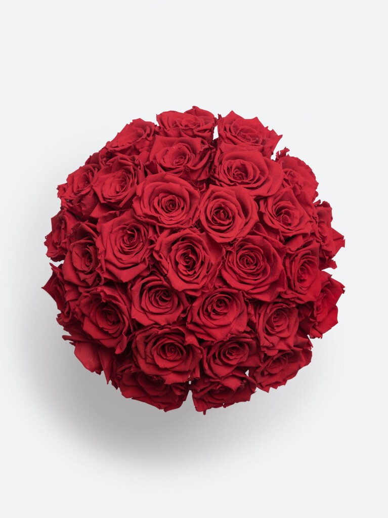 Top-down view of vibrant red preserved roses arranged in a flawless dome, with each bloom tightly layered to create a rich, textured display full of color and elegance.