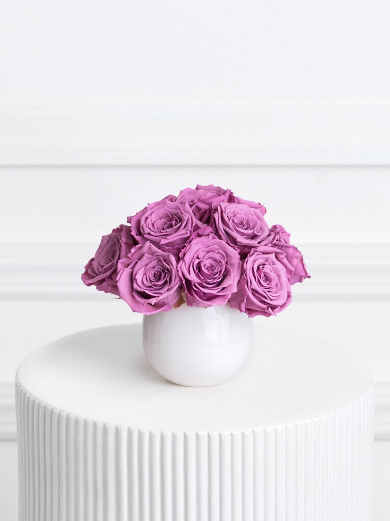 Petite arrangement of 12 preserved purple roses arranged in a compact, rounded cluster and set in a glossy white ceramic vase, offering a vibrant pop of color with a modern, long-lasting finish.