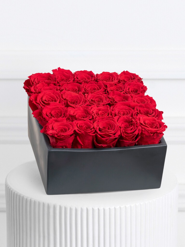 Sleek black square vase tightly packed with radiant preserved red roses, forming a plush, symmetrical surface that radiates timeless romance and modern sophistication.
