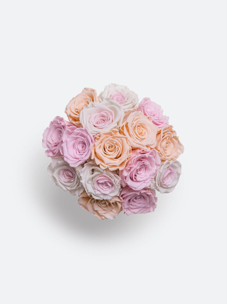 Top-down view of preserved roses in blended shades of pastel pink, creamy white, and soft peach, arranged in a compact rounded cluster that highlights the variation and beauty of each bloom.