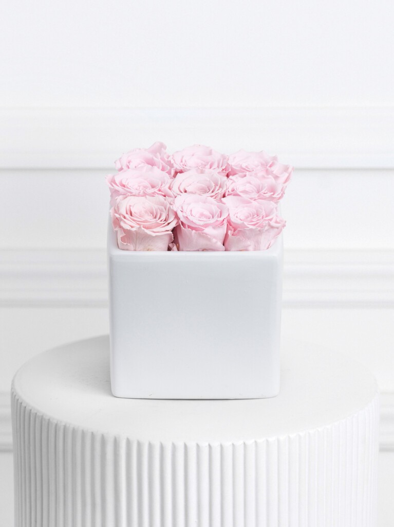 A delicate cluster of blush pink preserved roses arranged in a pristine white square ceramic vase, offering a simple yet elegant design perfect for gifting or display in modern, serene spaces.