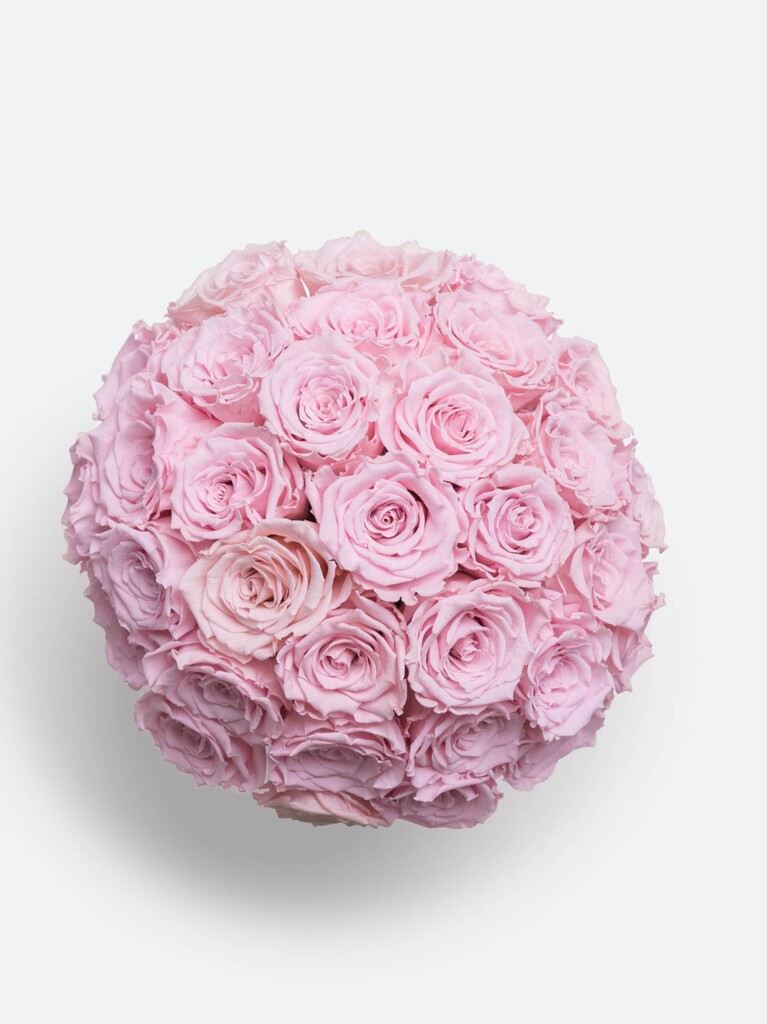 A swirling crown of 30 blush pink preserved roses viewed from above, with each petal forming part of a perfectly sculpted floral canopy.