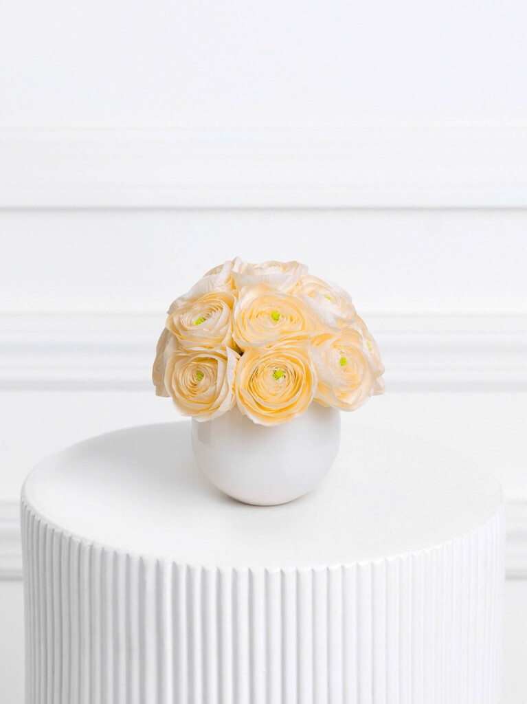 Arrangement of pale peach preserved ranunculus flowers displayed in a round white ceramic vase on a white textured pedestal, set against a minimalist white background.