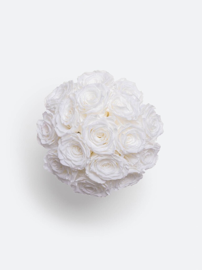 Top-down view of preserved white roses, with 20 velvety blooms tightly gathered into a clean, symmetrical formation that highlights their pure tone and refined texture.