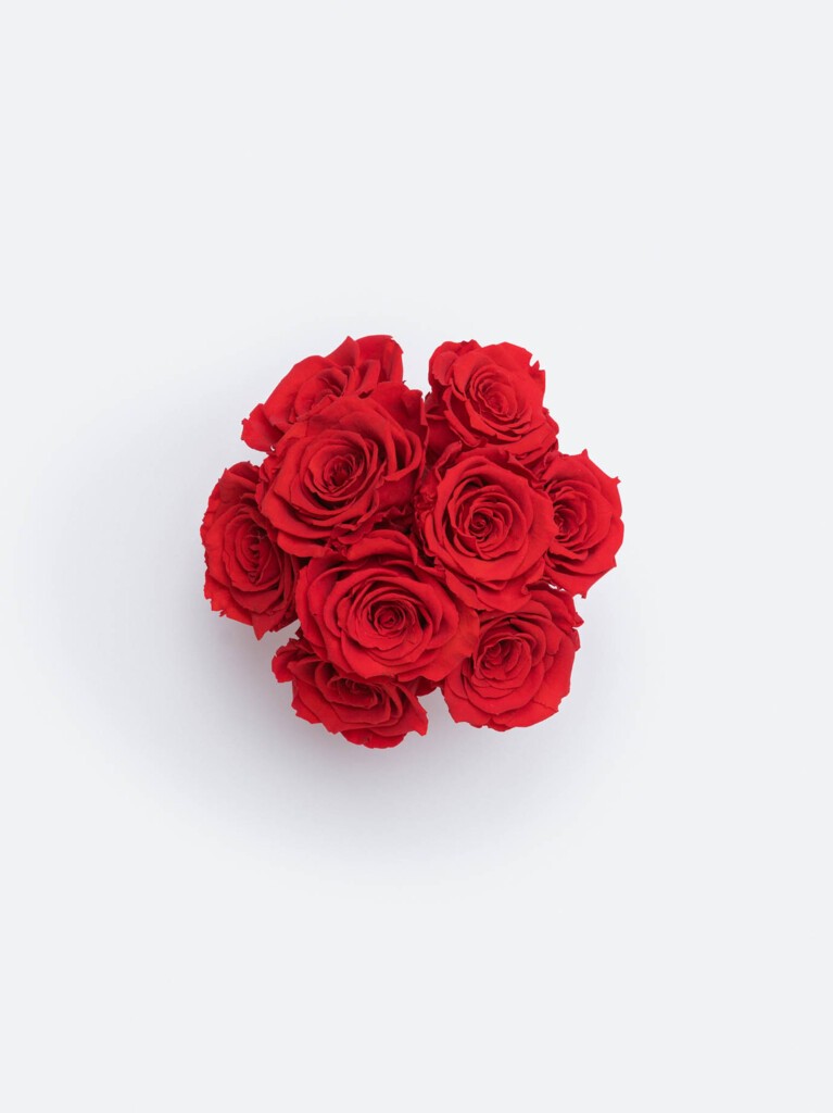 Top view of preserved red roses arranged in a tight, symmetrical cluster, highlighting their rich color and luxurious texture.
