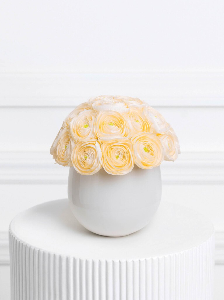 A dome-shaped arrangement of 25 preserved ranunculus blooms in soft peach and cream, each with delicate green centers, artfully displayed in a glossy round white ceramic vase.