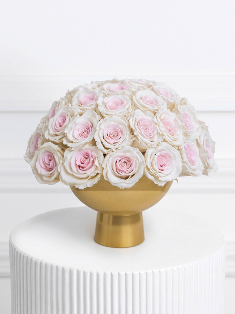 A graceful arrangement of preserved roses with pale blush centers that melt into frosted white edges, creating a soft ombré effect.