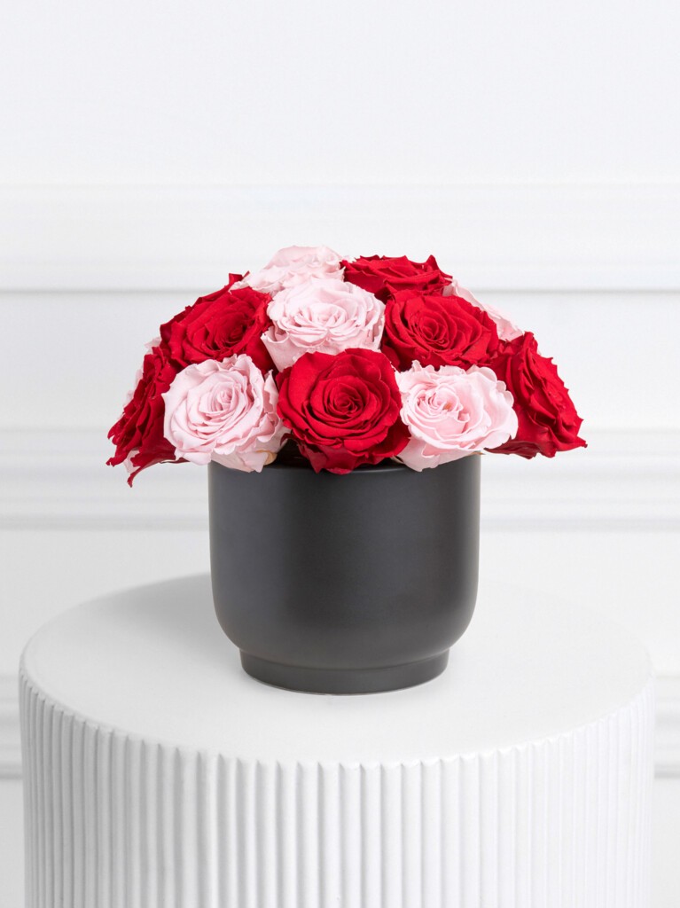 Arrangement of 20 preserved roses in a mix of deep red, dusty rose, and soft beige tones, gathered in a matte black ceramic vase with a rounded silhouette, creating a rich, layered composition that feels both timeless and contemporary.