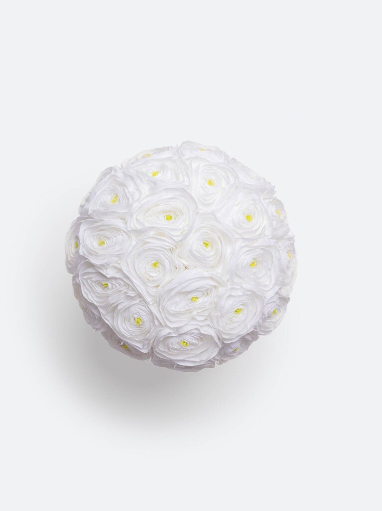 Tightly clustered preserved white ranunculus with pale yellow centers form a perfectly domed shape, creating a clean, sculptural look from above.