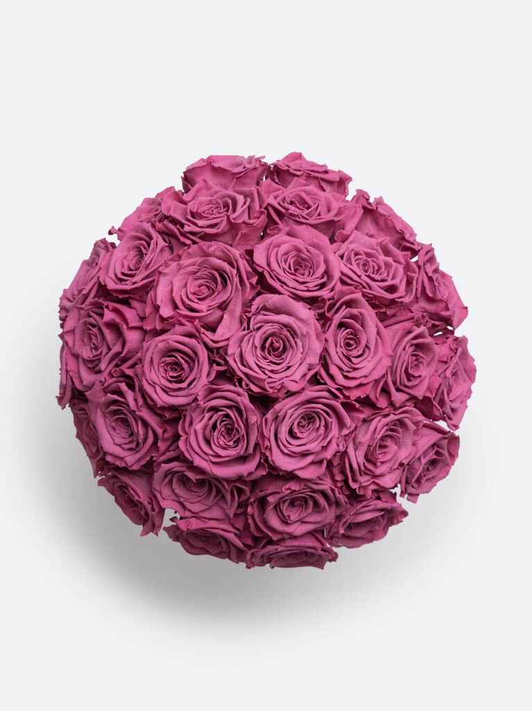 From above, the bouquet forms a perfect circular cluster of rich purple roses, their tightly spiraled centers and ruffled petal edges creating a textured floral mosaic in preserved perfection.