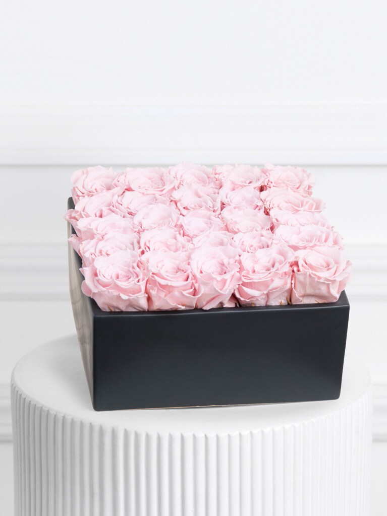 Square black box filled edge-to-edge with 25 pale pink preserved roses, tightly packed in even rows to form a lush, structured floral surface with soft, ruffled textures and a romantic pastel palette.