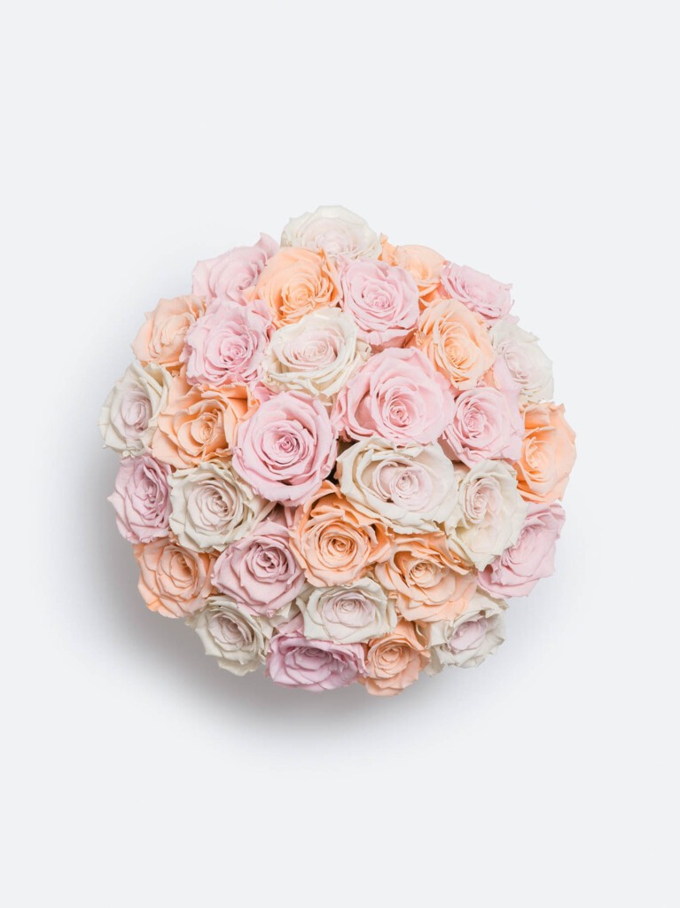 Top view of 30 pastel preserved roses arranged in a symmetrical, circular layout, blending delicate tones of ivory, powder pink, and pale apricot for a soft, romantic finish.