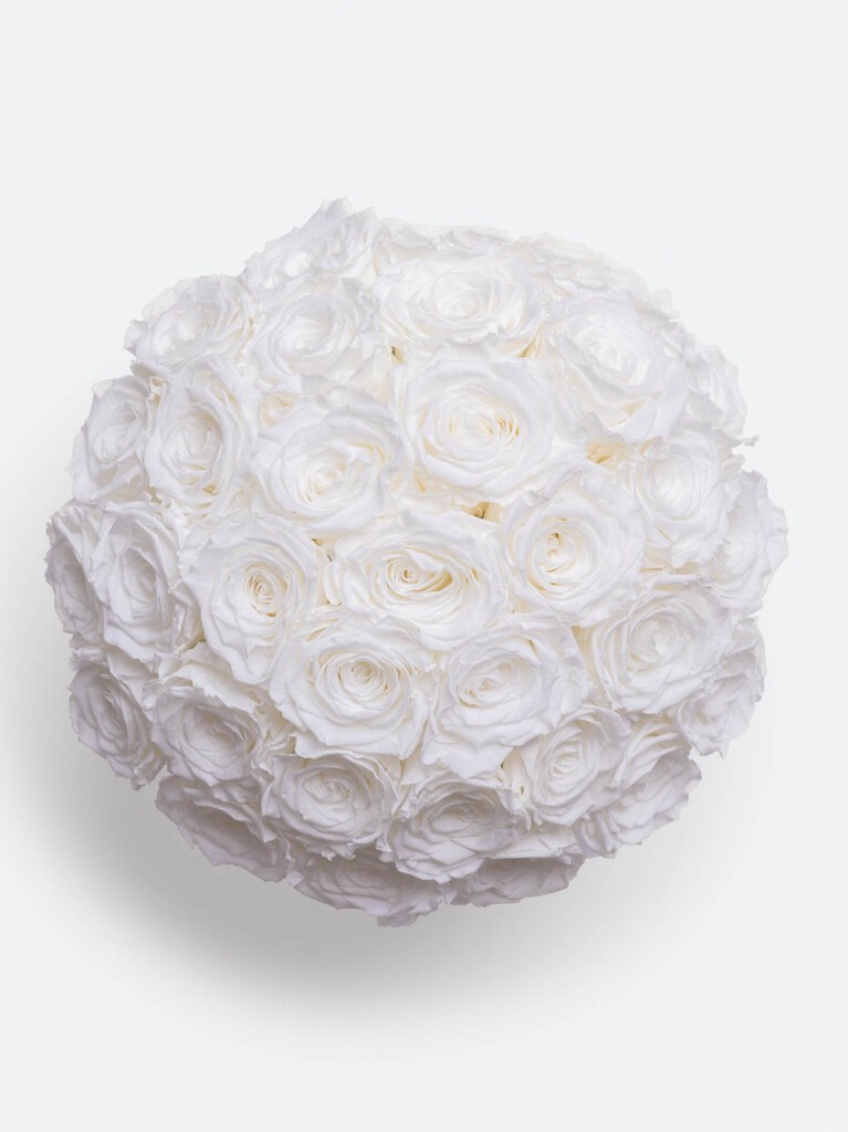 A top-down view of luminous white preserved roses, revealing subtle cream centers layered in a perfect spherical arrangement.