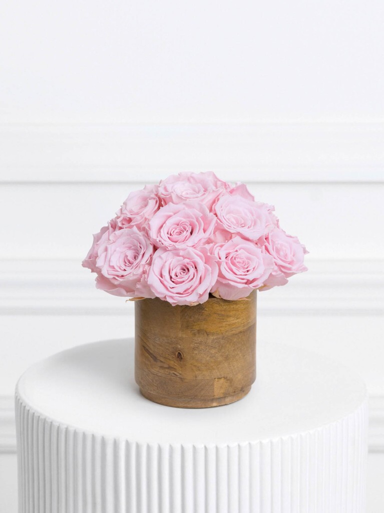 Arrangement of 16 preserved roses in a soft blush pink tone, tightly clustered in a warm natural wood vase, with a rounded, sculptural shape that highlights the gentle elegance of each bloom.