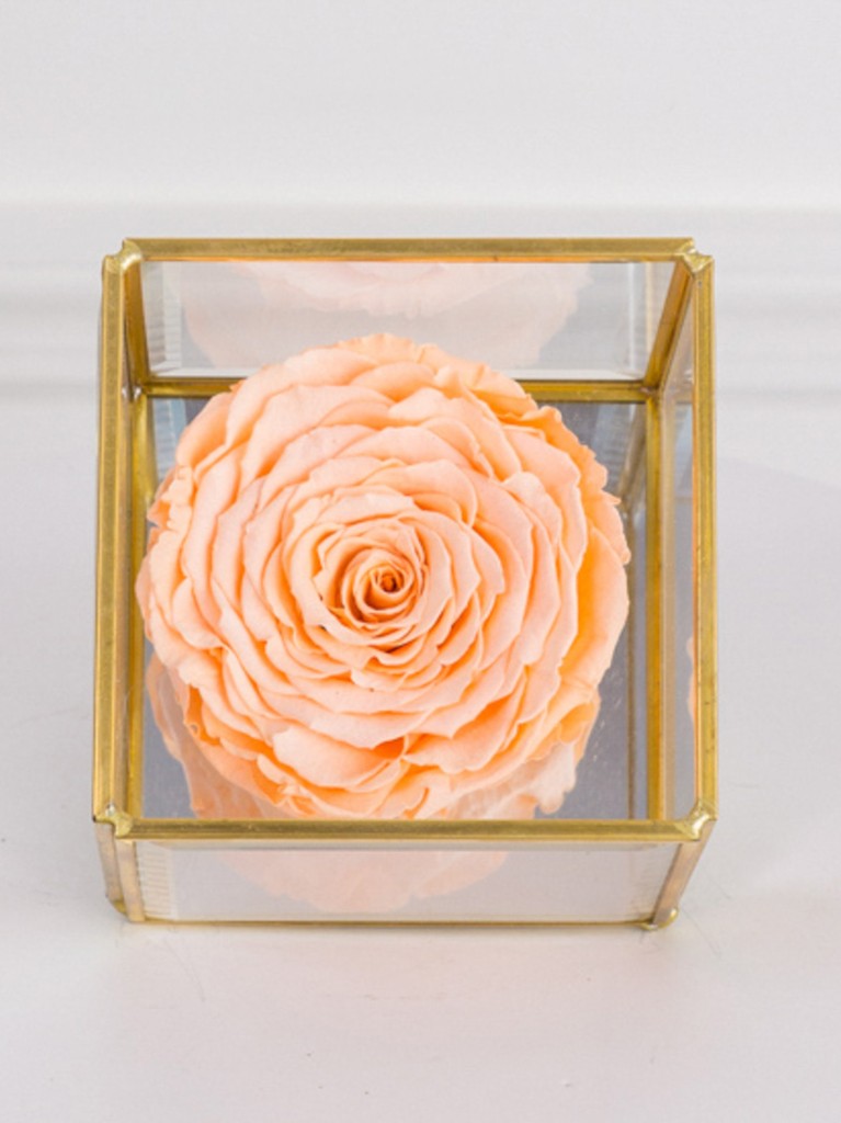 Top view of a preserved peach rose showcased in a glass box with gold frame and mirrored base, symbolizing elegance and everlasting beauty.
