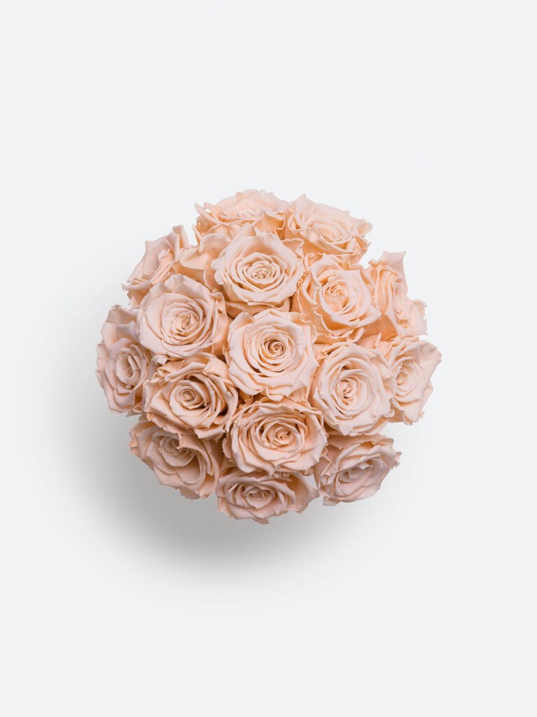 Top-down view of preserved coral roses, featuring 16 blooms in soft peach tones tightly gathered into a round composition, highlighting the delicate texture and subtle warmth of each flower.