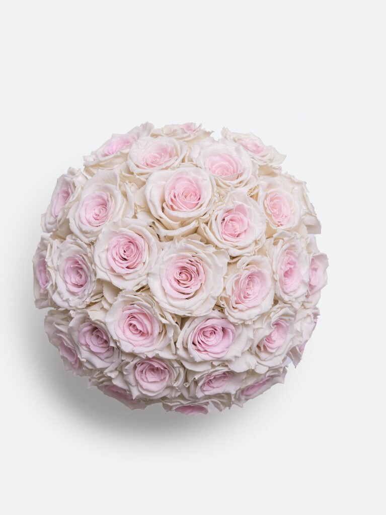 A lush overhead view of 30 preserved roses in soft peach and cream shades, artfully arranged in a rounded dome of timeless blooms that stay beautiful for up to a year.