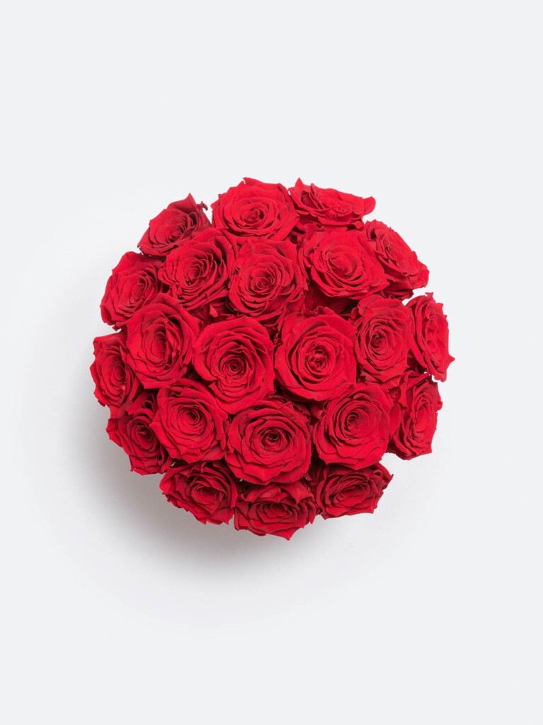 Overhead view of preserved red roses arranged in a perfectly rounded dome, with velvety petals tightly packed to create a bold, sculptural composition full of depth and intensity.