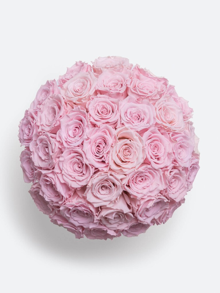 Top view of 40 preserved roses showcasing layers of pastel pink tones, blending whisper-light and petal-soft shades in a perfect floral sphere.