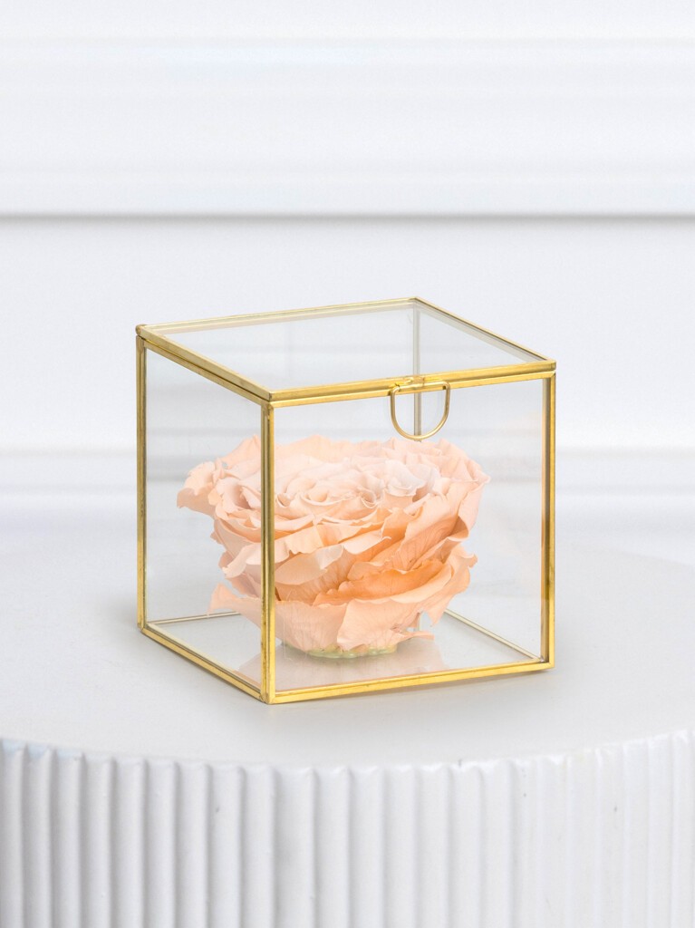 A perfectly preserved peach rose resting inside a square glass box with golden trim, mirrored base, and beveled edges, offering a luminous, long-lasting display piece for meaningful gifting.