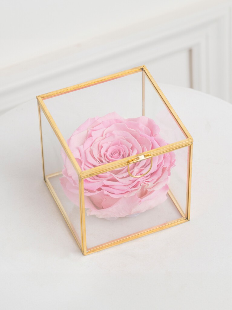 Preserved pink rose showcased in a crystal-clear glass cube, capturing the beauty of eternal blooms in a romantic and elegant presentation.