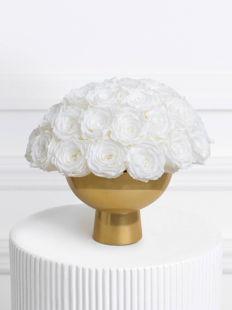 A dome of 40 pristine preserved white roses with soft ivory undertones, tightly arranged in a sleek golden pedestal vase.