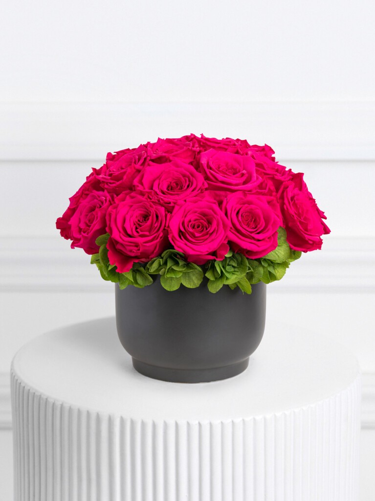 Dome-shaped arrangement of deep red preserved roses set in a matte black ceramic vase, with a hint of green foliage woven in to add contrast and dimension to this striking, year-long lasting design.