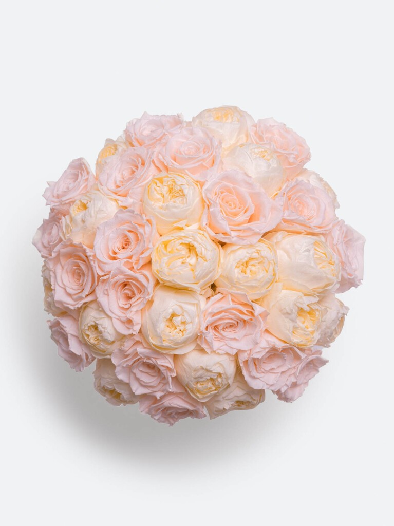 Aerial view of a luxurious bouquet featuring 30 pastel-hued roses and ranunculus arranged in a perfect spherical shape, showcasing a delicate ombré of blush pinks and soft ivory tones.