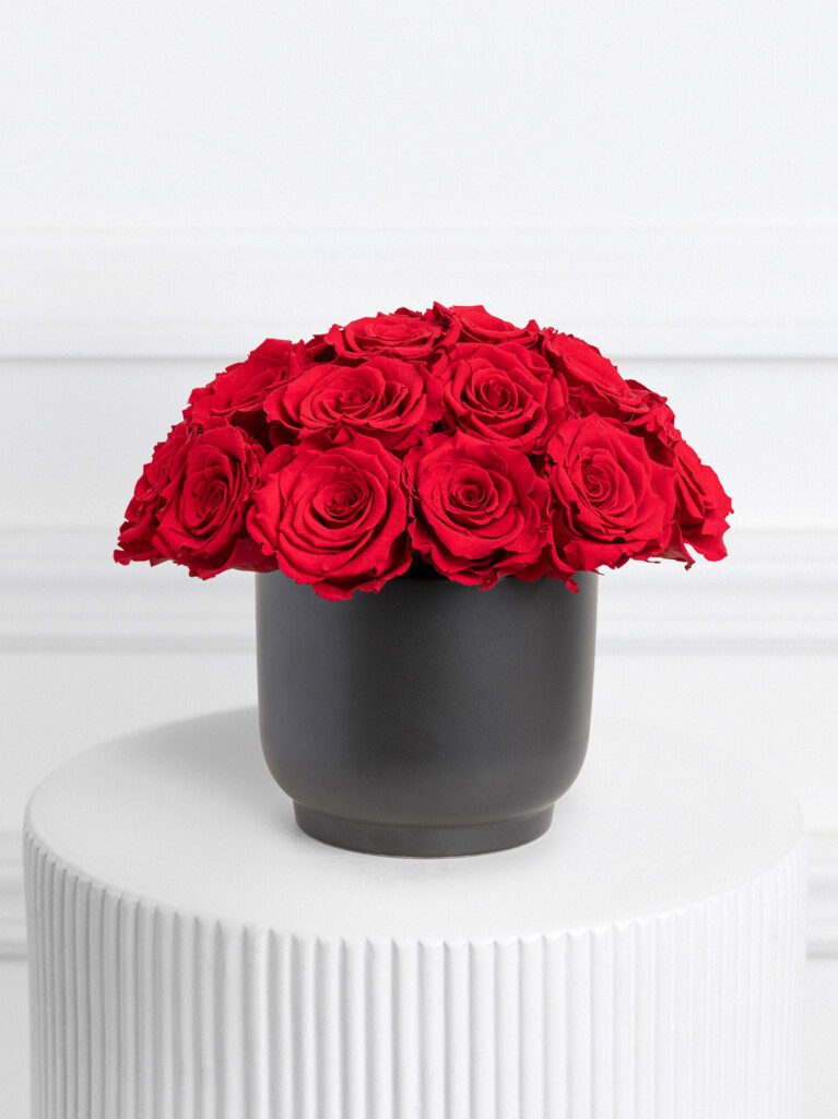 Arrangement of preserved roses in rich, velvety shades of red, densely gathered in a matte black ceramic vase, creating a bold, monochromatic design with timeless elegance and year-long presence.