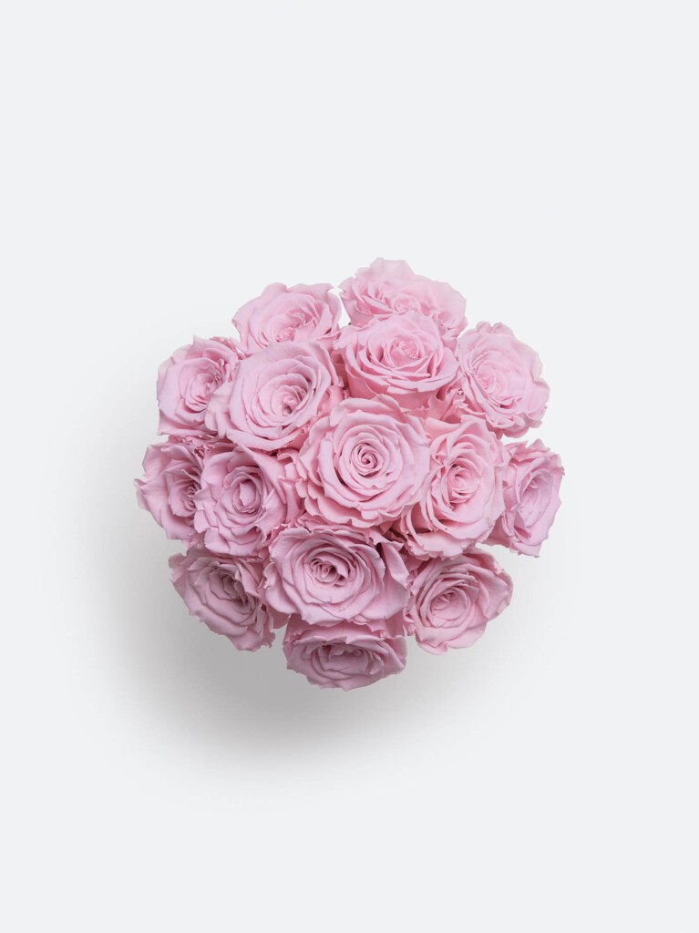 Top-down view of 16 preserved blush pink roses arranged in a perfectly round cluster, with velvety petals and soft pastel tones forming a balanced, full floral surface.