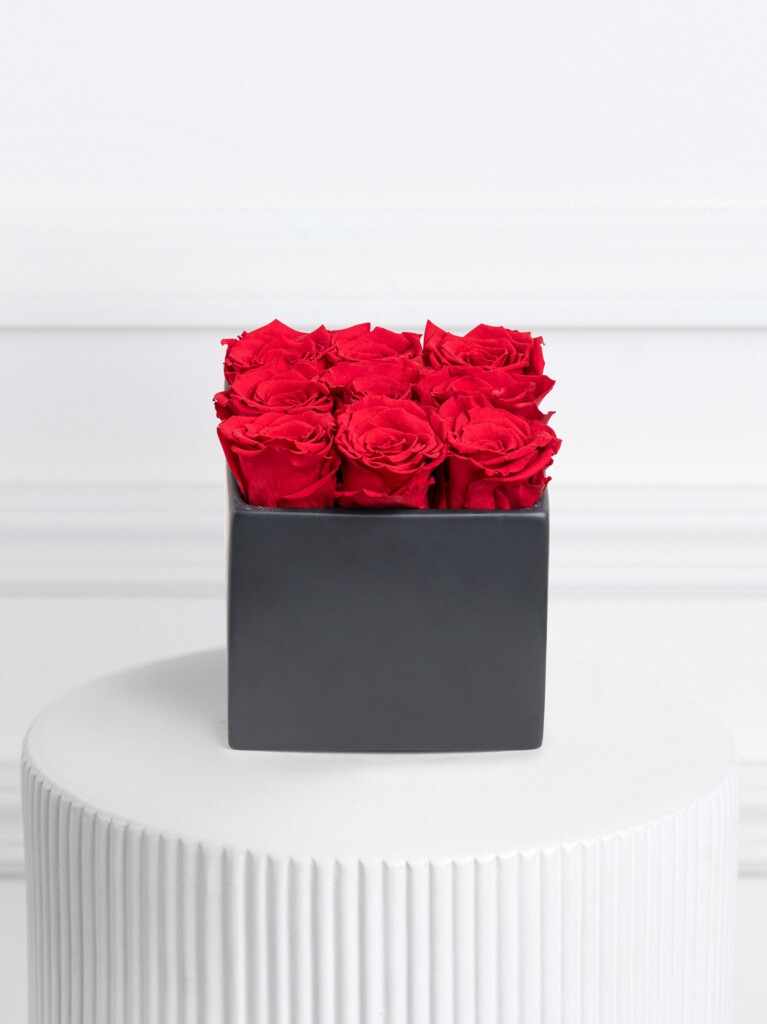 Box arrangement of 9 preserved red roses, neatly aligned in a matte black square container with rich, velvety petals and a bold, structured presentation.