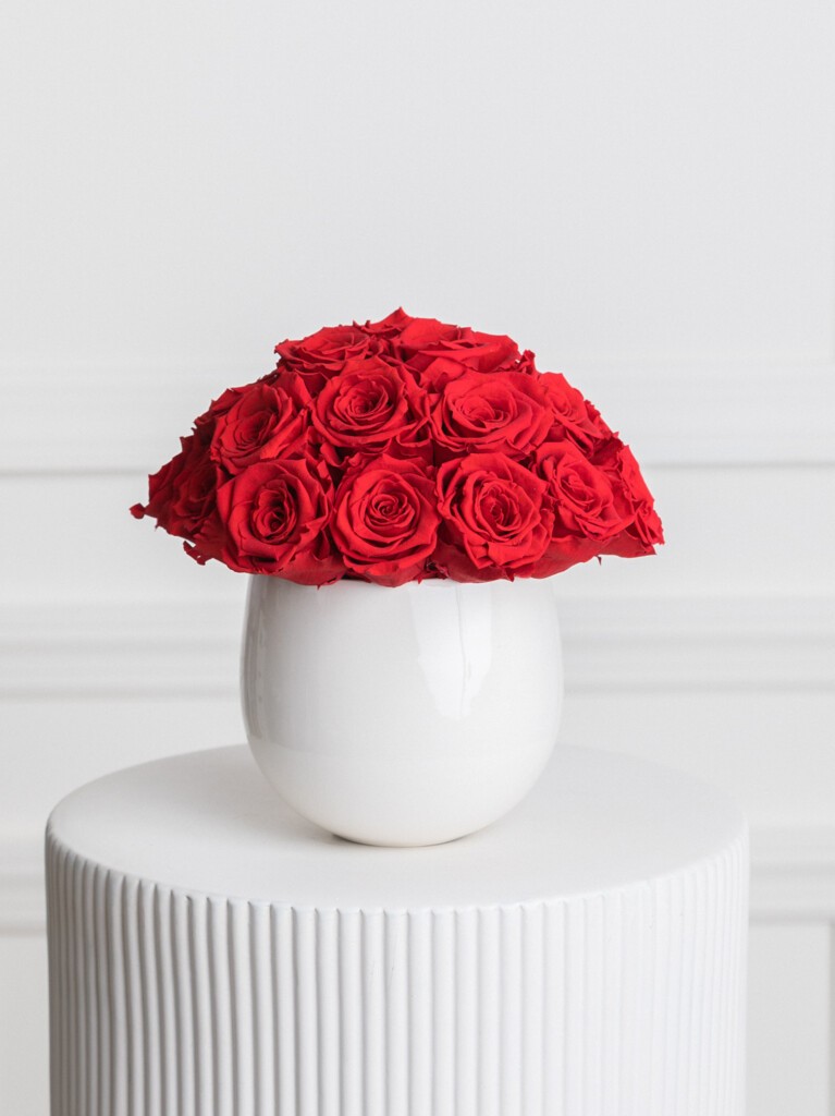 Arrangement of preserved red roses in a rounded, glossy white ceramic vase, with tightly clustered blooms forming a smooth, dome-like silhouette that contrasts boldly against the clean, minimalist setting.