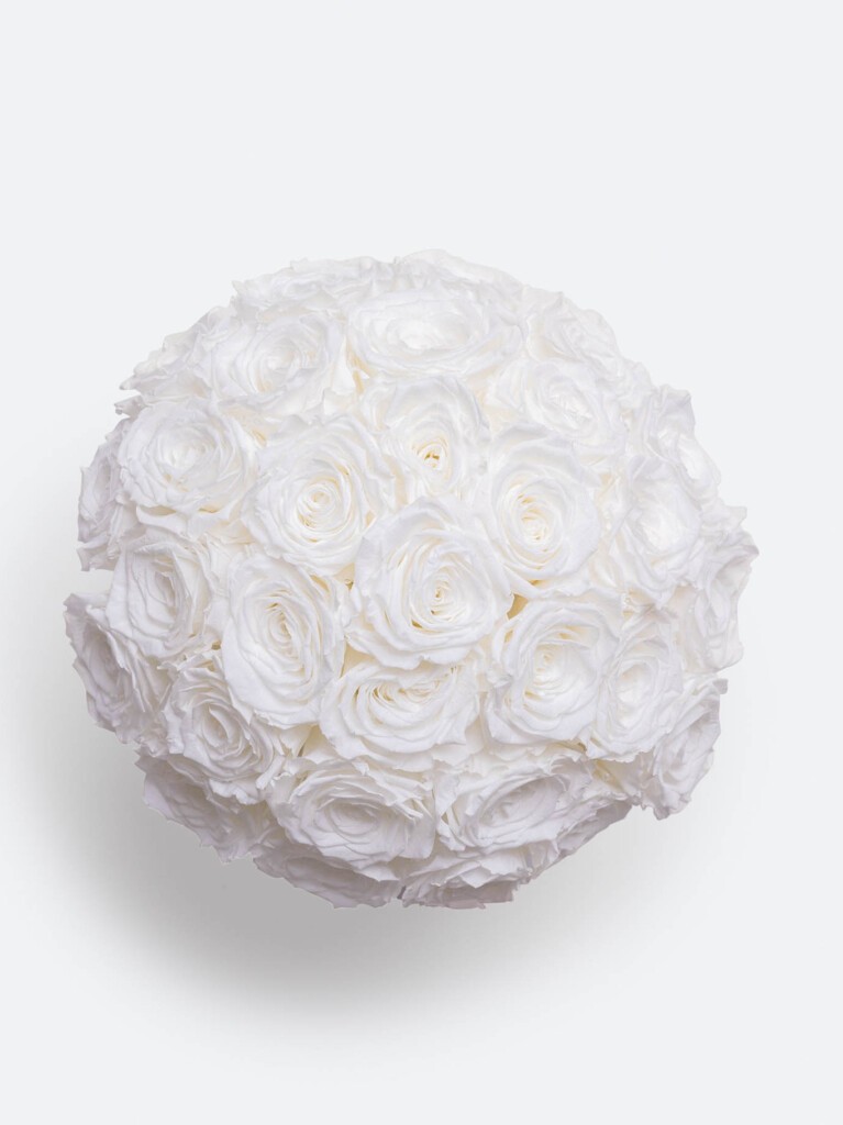 Top-down view of a dome-shaped preserved rose arrangement, featuring over 30 flawless white roses packed closely together for a luxurious, cloud-like effect.