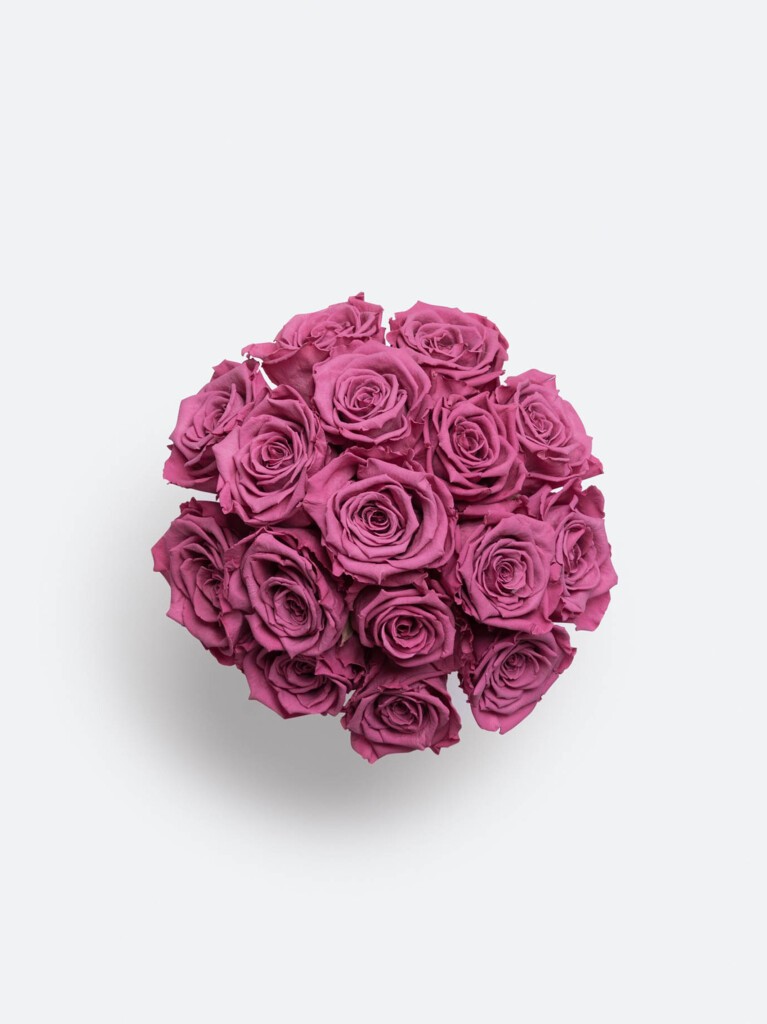 Aerial view of 16 richly hued fuchsia preserved roses, artfully clustered into a full, circular bouquet with densely layered petals and consistent spacing.