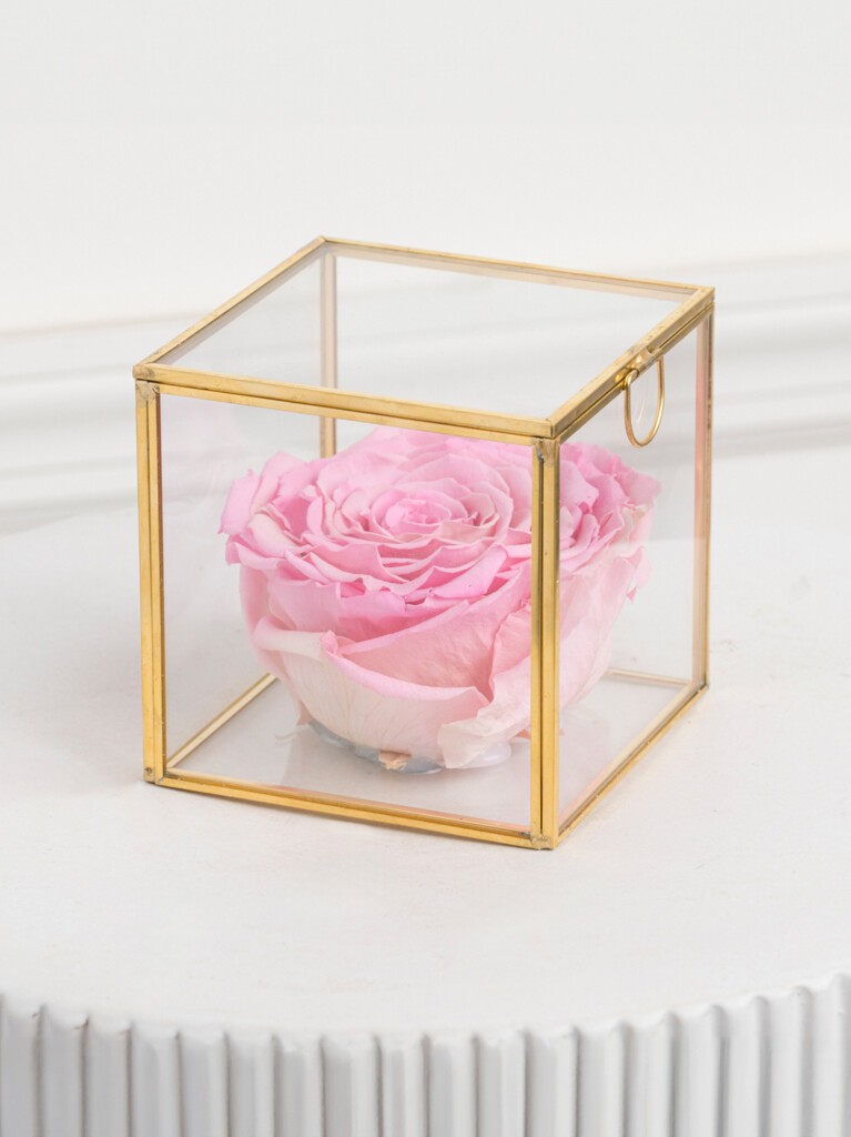 Romantic single pink preserved rose encased in a modern glass display box, ideal for gifting or as a lasting decorative accent.