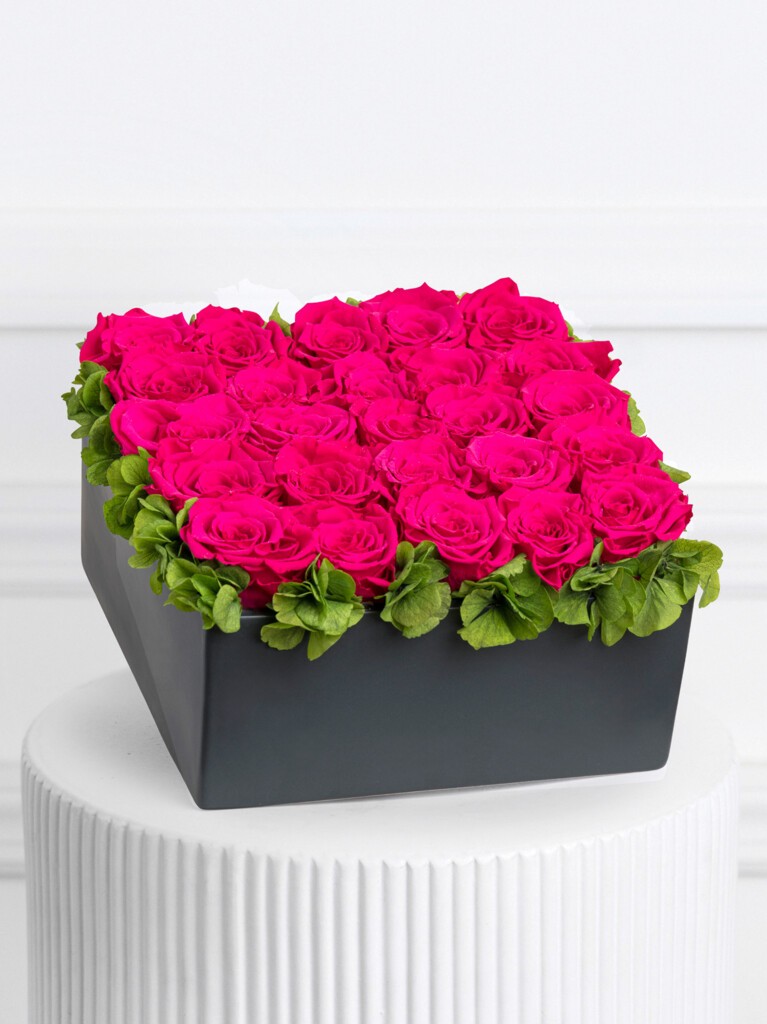A lush, square arrangement of 25 vivid fuchsia preserved roses densely packed and bordered with green hydrangeas, set in a sleek black square ceramic box with a modern low-profile design.